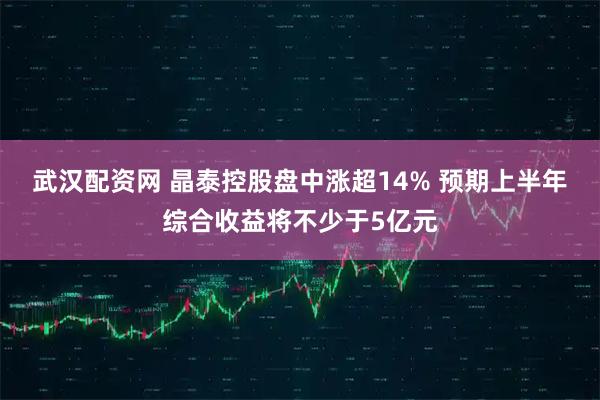 武汉配资网 晶泰控股盘中涨超14% 预期上半年综合收益将不少于5亿元